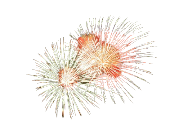 Two fireworks bursting in the dark night sky